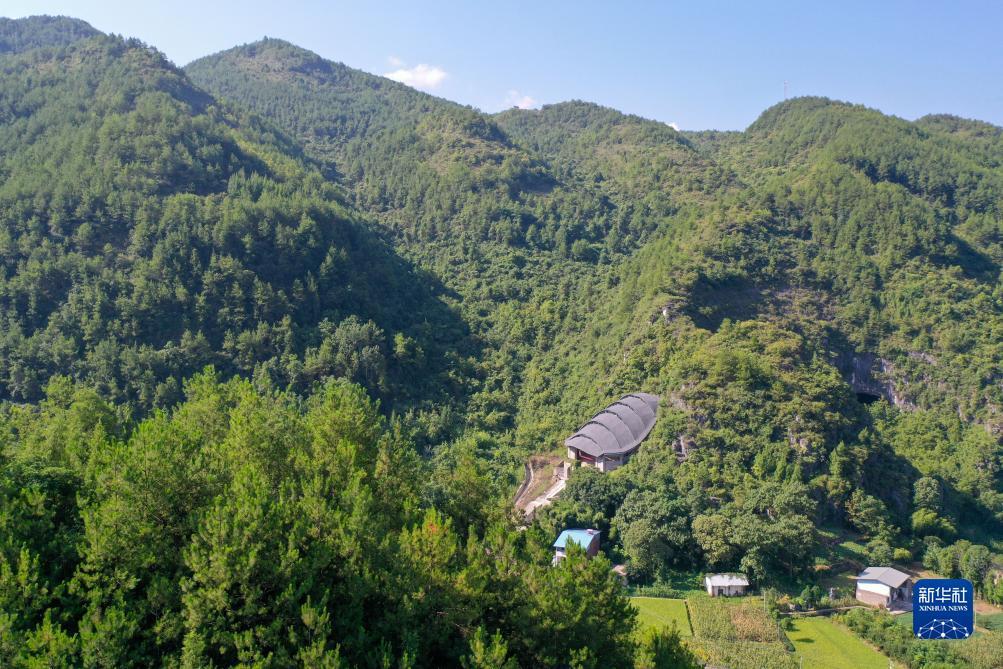 冰球游戏下载